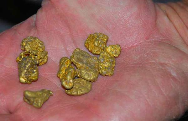 gold nuggets in hand